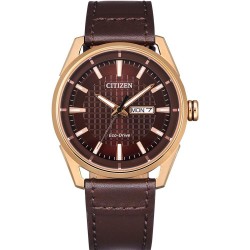 Đồng hồ nam Citizen Eco-Drive Brown Dial - AW0083-08X